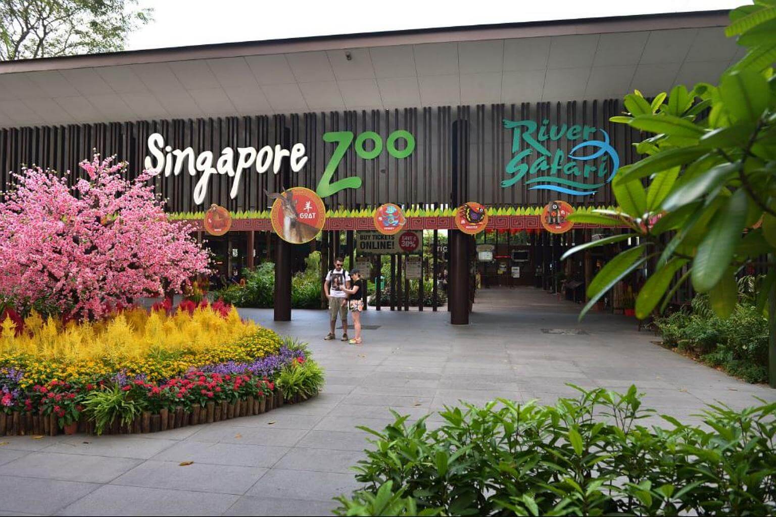 Singapore Zoo – One of the best globally